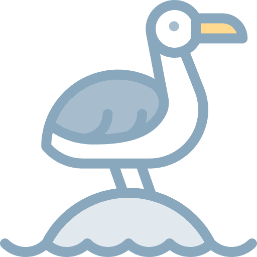 Seagull bird zoo fauna icon