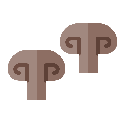 Champignon food and restaurant vegetarian food diet icon