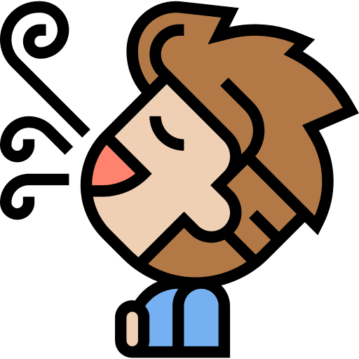 Breathing breath fresh mouth icon