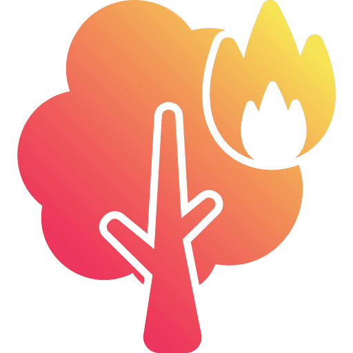 Forest fire ecology and environment wildfire ecology icon Forest fire ecology and environment wildfire ecology icon