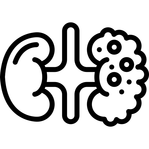 Kidneys kidneys body organ cancer icon