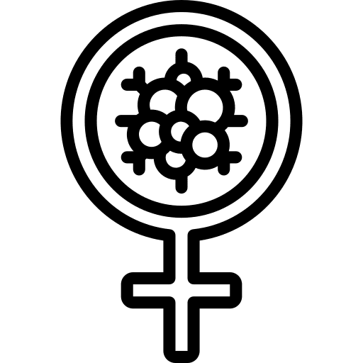 Female female cell health icon