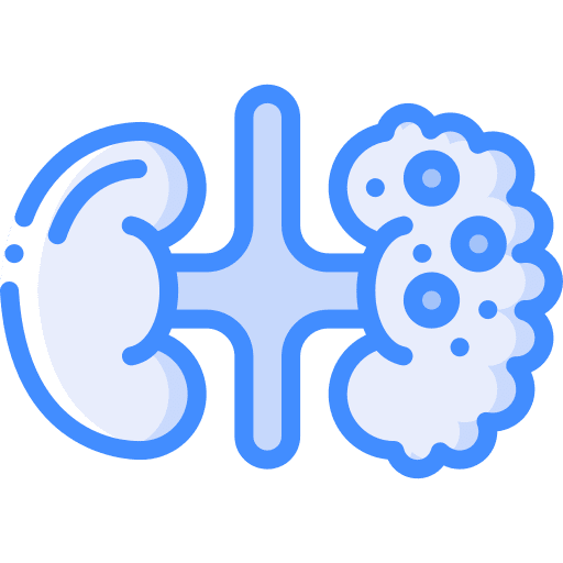 Kidneys illness health healthcare and medical icon