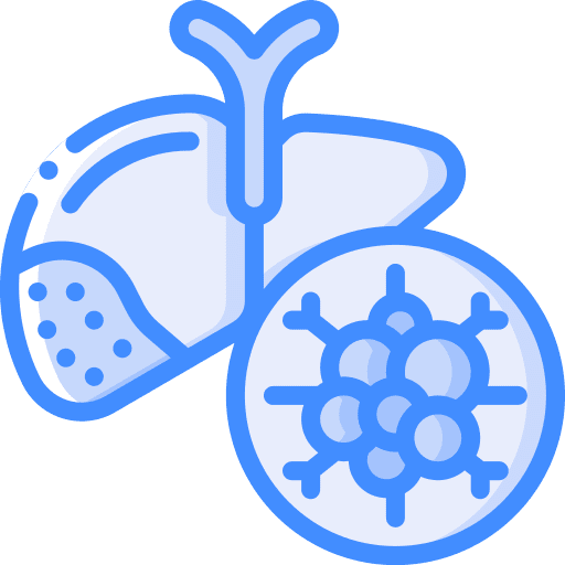 Liver body organ illness liver icon