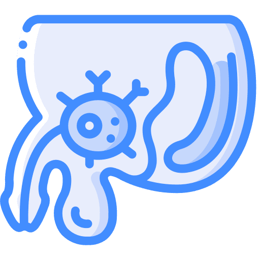 Prostate man anatomy prostate icon