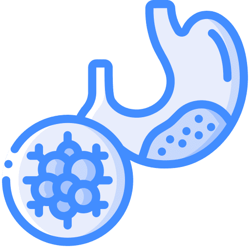 Stomach anatomy disease body organ icon