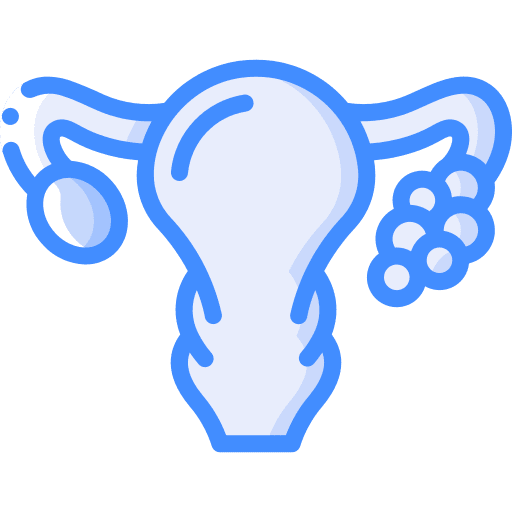 Uterus ovaries cancer anatomy icon