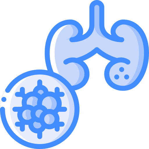 Kidneys anatomy cancer body organ icon