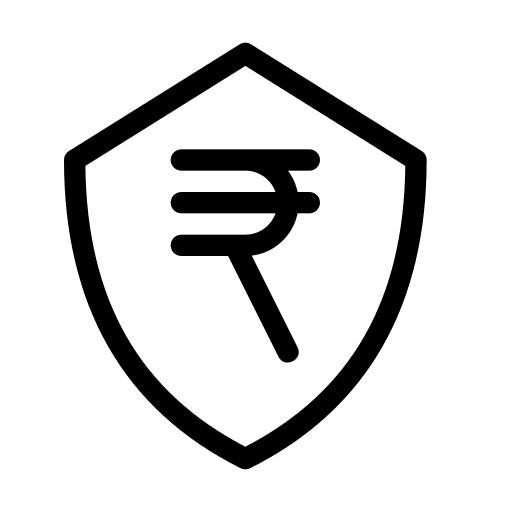 Rupee shield money currency icon