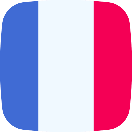 France flag variant flag flags icon