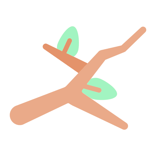 Branch leaves branch spring icon
