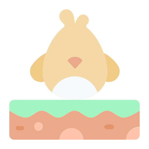 Chick animals chicken garden icon