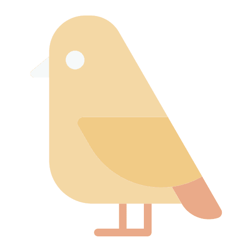 Bird spring bird animals icon