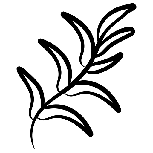 Savory nature plant botanic icon