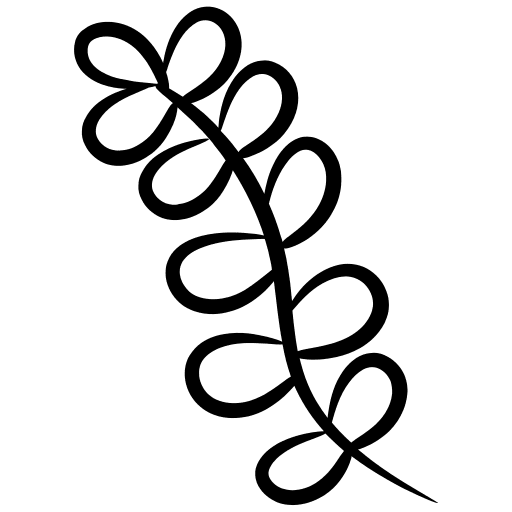 Acacia garden nature bloom icon
