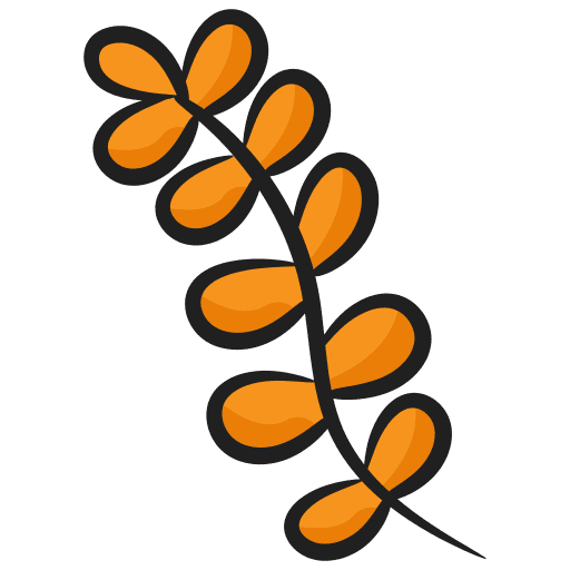Acacia garden botanic flower icon