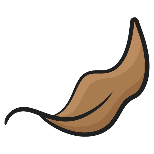 Dry leaf foliage nature botanic icon Dry leaf foliage nature botanic icon