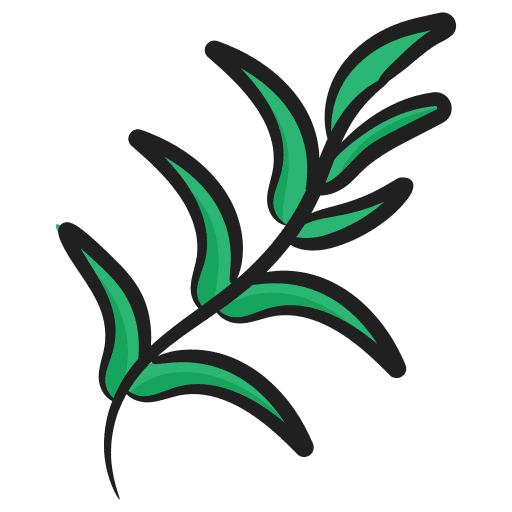 Savory food plant spice icon