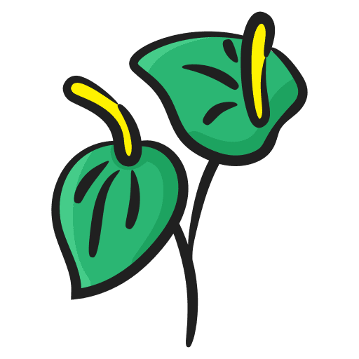 Arum lily spring garden flower icon Arum lily spring garden flower icon
