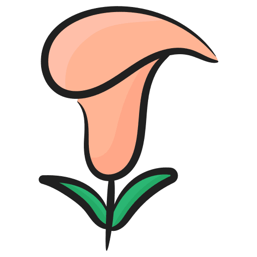 Calla lily flower floral botanic icon Calla lily flower floral botanic icon