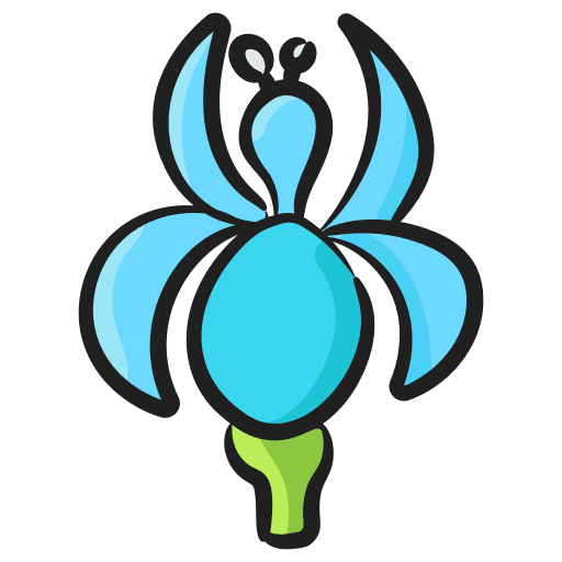 Canna spring bloom garden icon Canna spring bloom garden icon