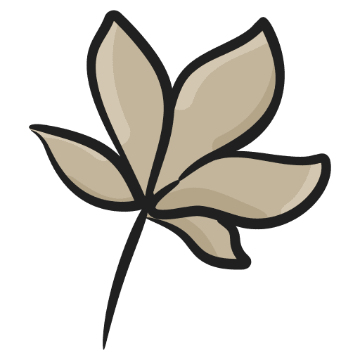 Leaf spring chestnut foliage icon Leaf spring chestnut foliage icon