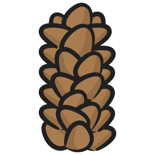 Pine cone nut botanical autumn icon Pine cone nut botanical autumn icon