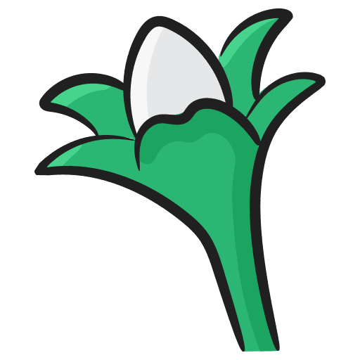 Snowdrop flower flower spring botanic icon Snowdrop flower flower spring botanic icon