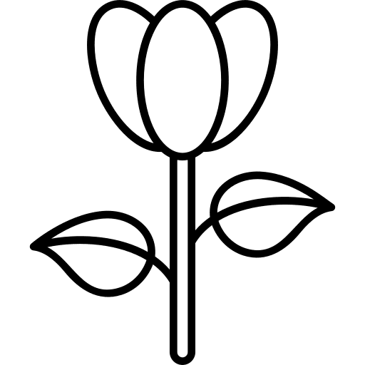 Tulip fragrance spring flower icon