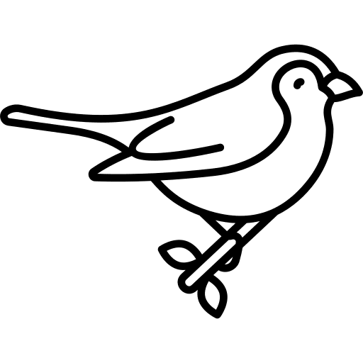 Bird fly animal bird icon