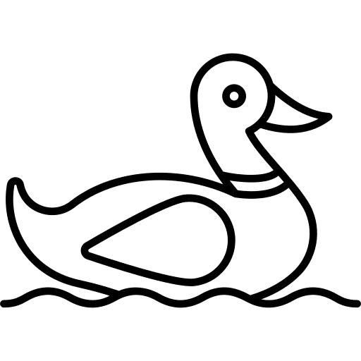 Duck bird animal ornithology icon