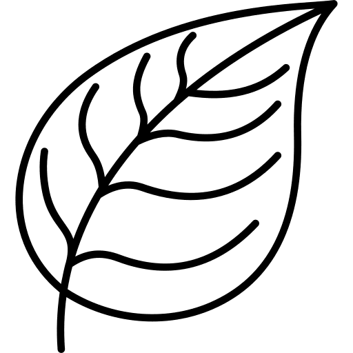 Leaf garden botanical nature icon