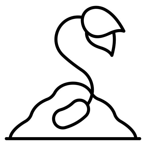 Sapling sapling botanical leaves icon