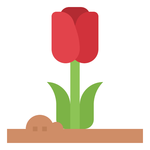 Tulip nature bloom garden icon