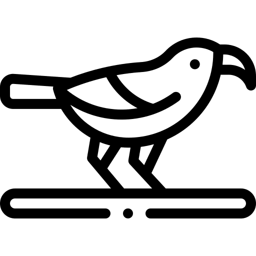 Iiwi animals fauna bird icon