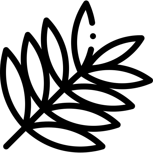 Leaf nature botanical plant icon