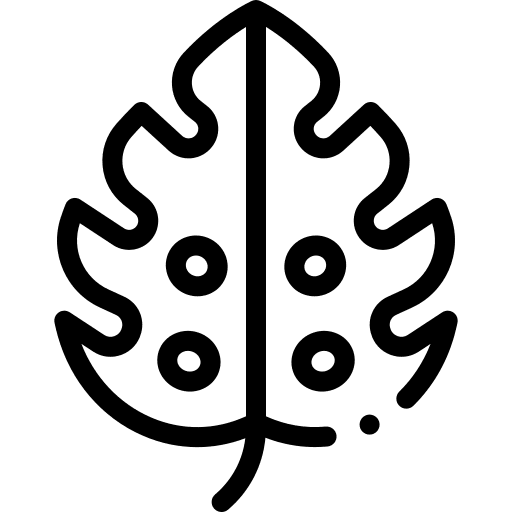 Leaf tropical nature plant icon