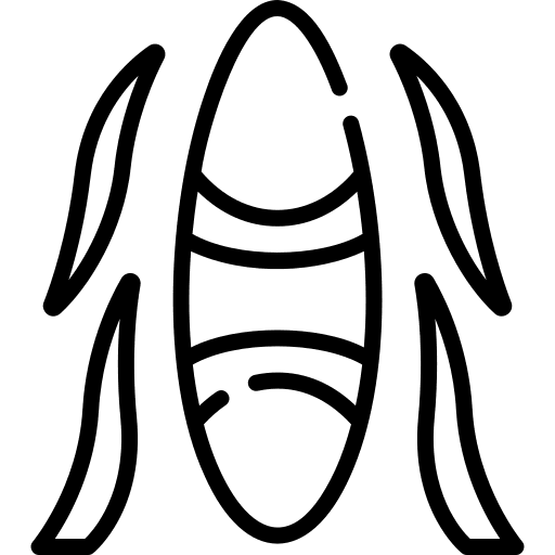Surfing surf wave sports and competition icon Surfing surf wave sports and competition icon
