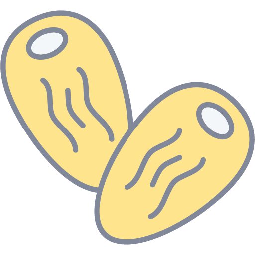 Dates vegetarian vegan dates icon Dates vegetarian vegan dates icon