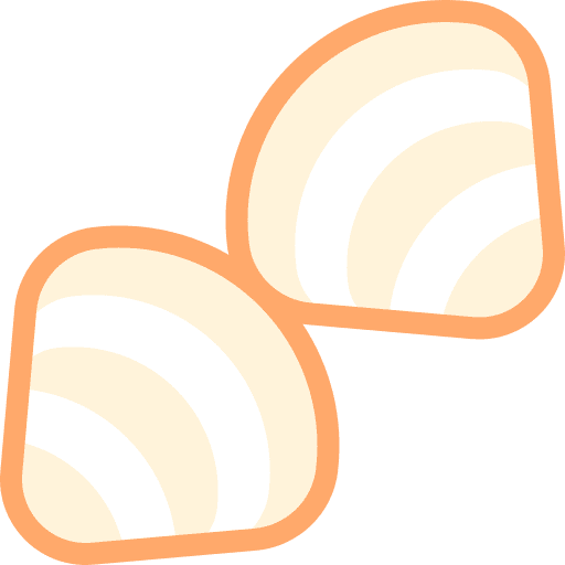 Clam clam water sea life icon