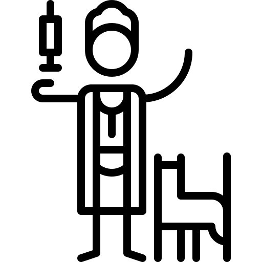 Pet vaccine caucasian injection icon