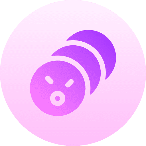 Mortadella cold meat mortadella appetizer icon