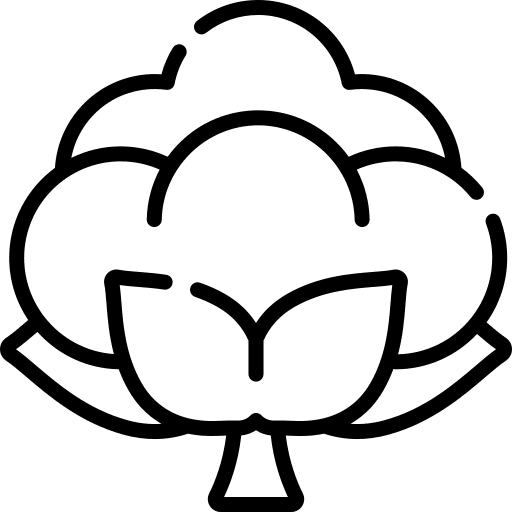Cotton textile cotton plant icon