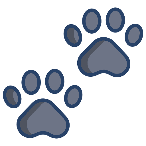 Paws animals pet cat icon