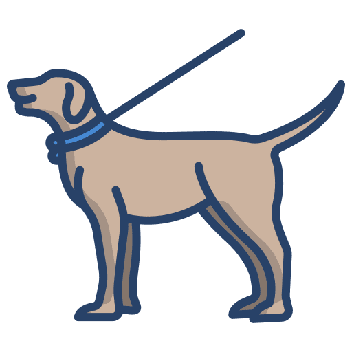 Walking the dog pet animals leash icon
