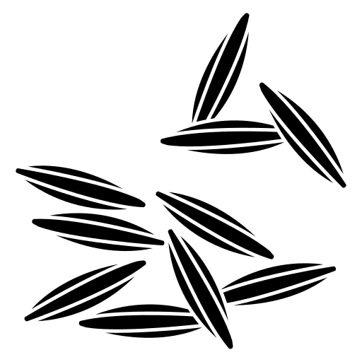 Cumin nature seed cooking icon