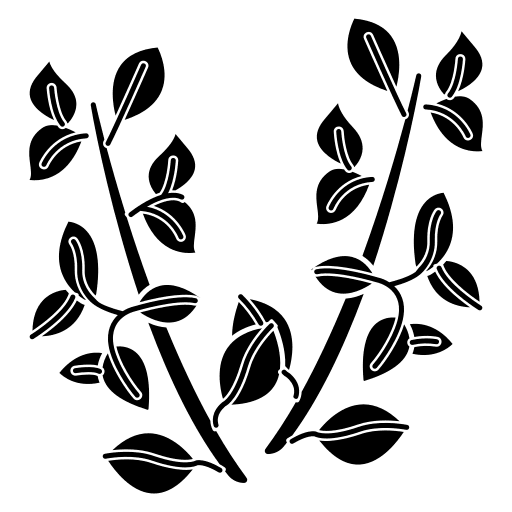 Thyme plant herb leaf icon