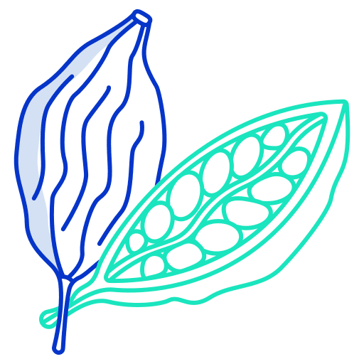 Cardamom nature cooking food and restaurant icon