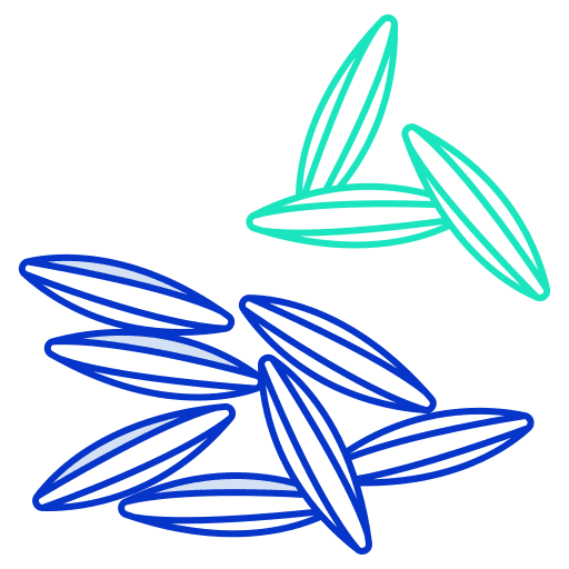 Cumin seed spice nature icon