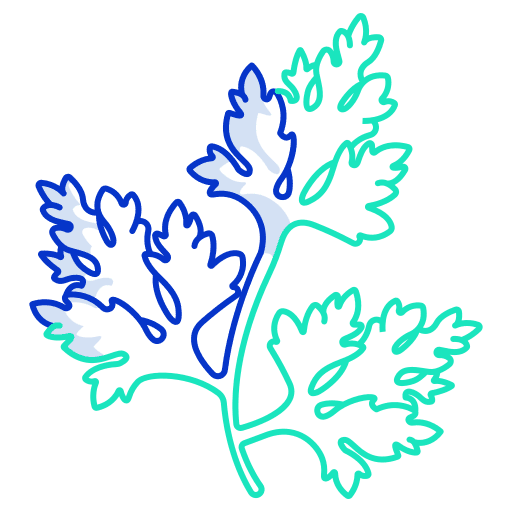 Parsley nature plant food and restaurant icon